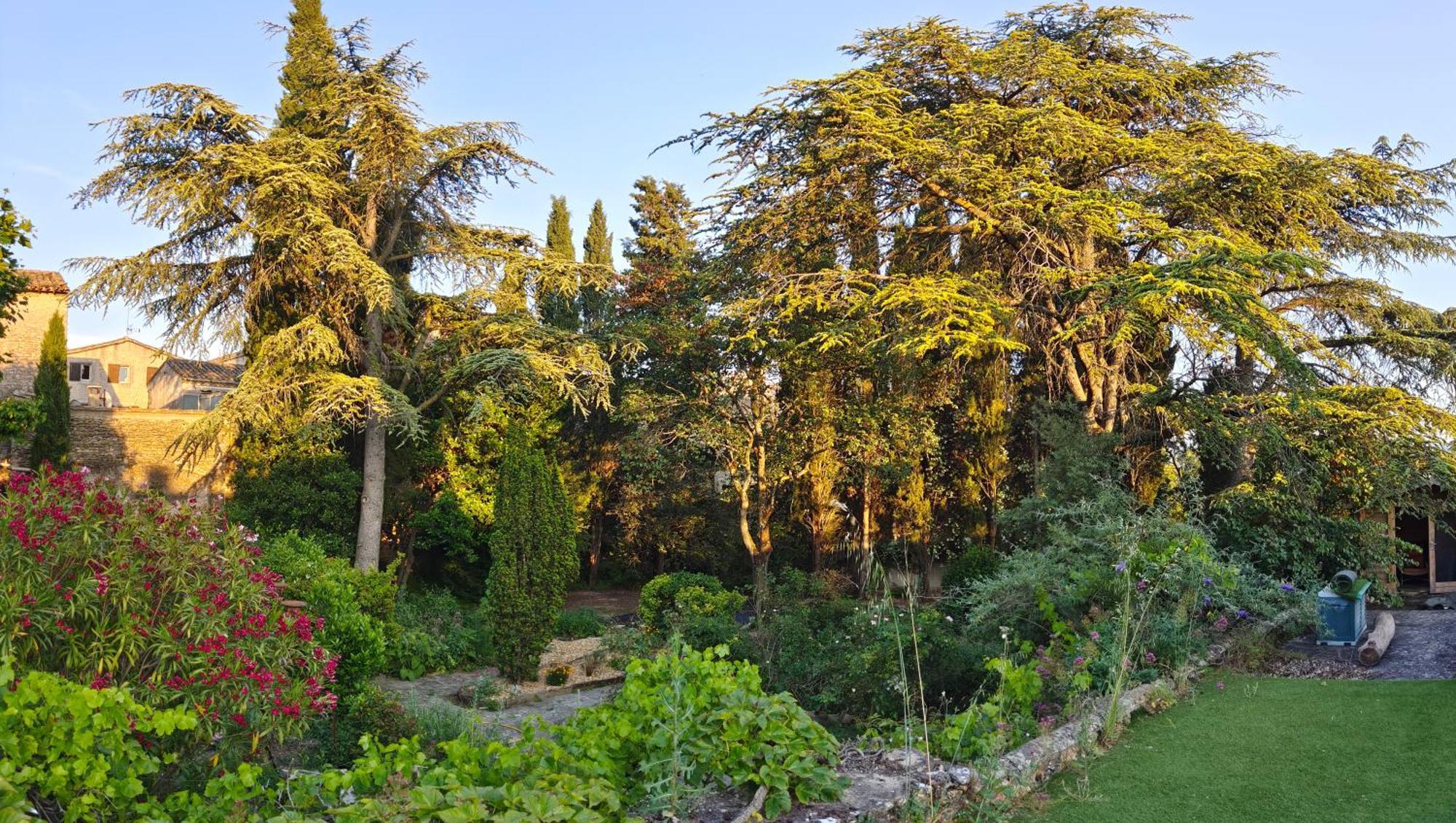 Bed and Breakfast Rue Du Chateau A Cabrieres D'Avignon Экстерьер фото