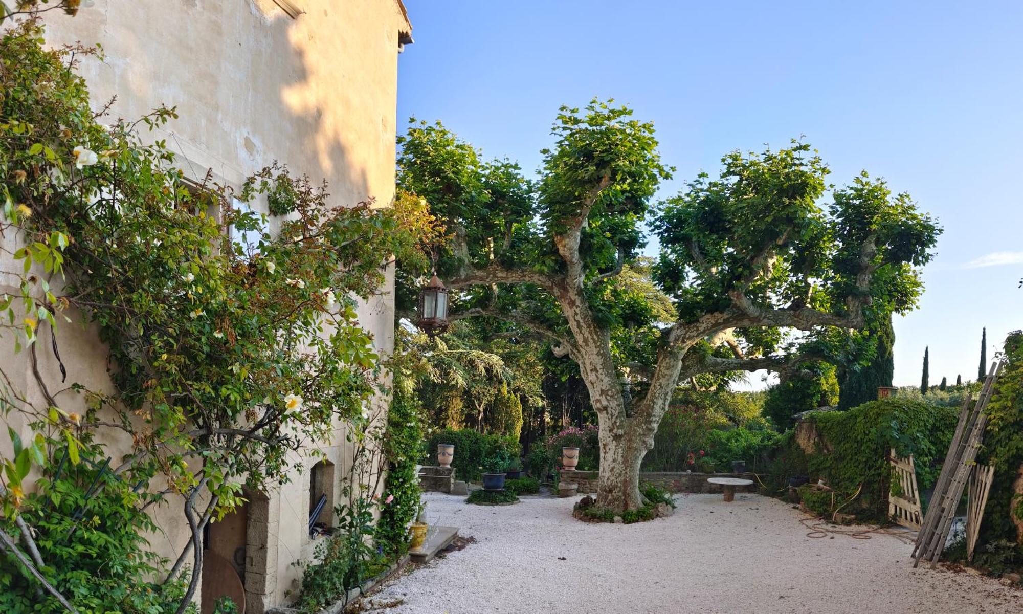 Bed and Breakfast Rue Du Chateau A Cabrieres D'Avignon Экстерьер фото